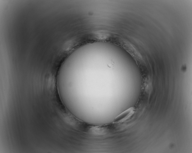 X0000103230568200808280953