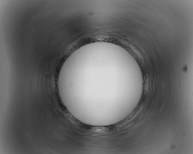 X0000103230569200808280953
