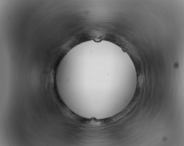 X0000103230570200808280953