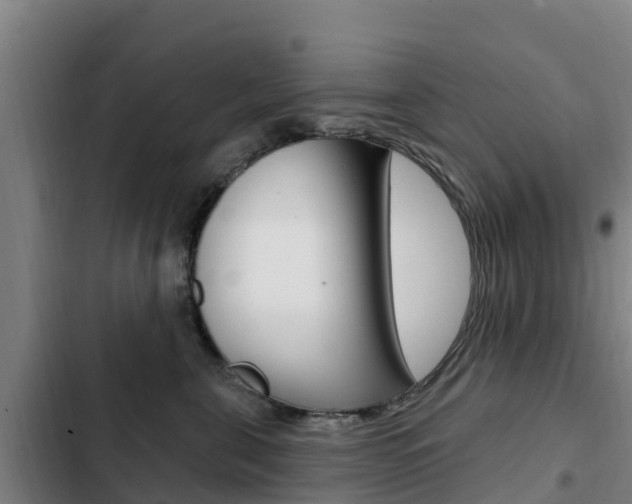 X0000103230571200808280953