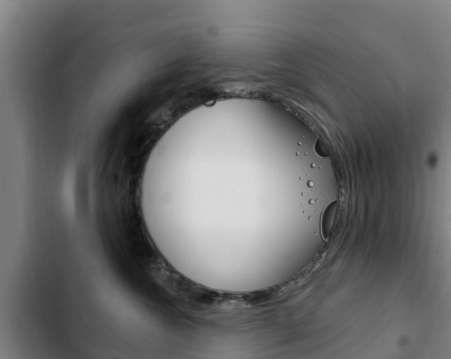 X0000103230572200808280953