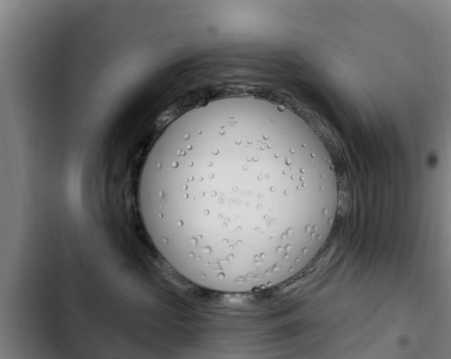 X0000103230573200808280953