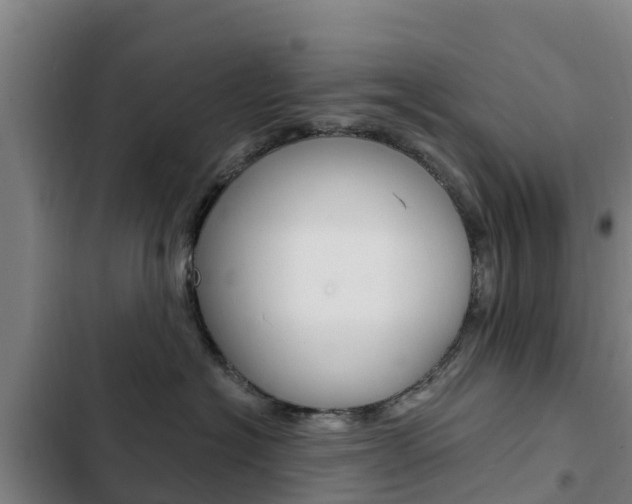 X0000103230574200808280953