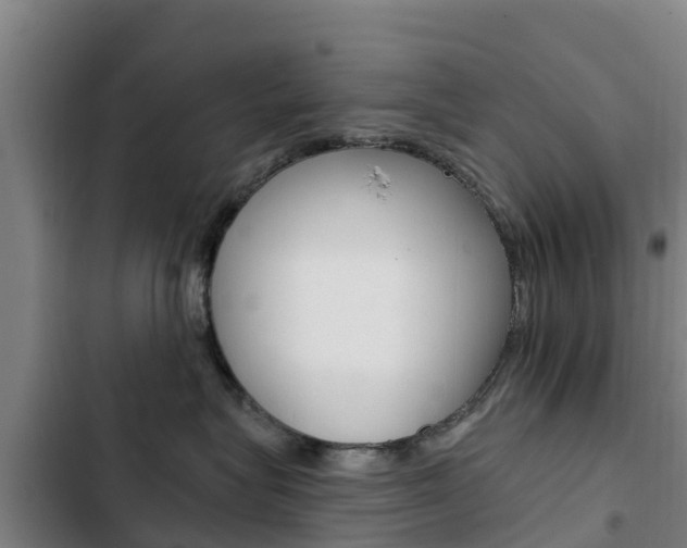 X0000103230575200808280953