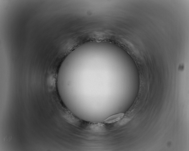 X0000103230576200808280953