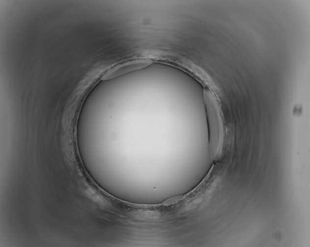 X0000103230577200808280952