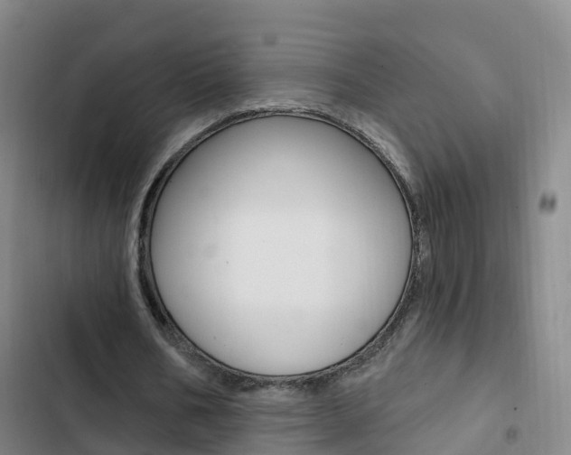 X0000103230578200808280952