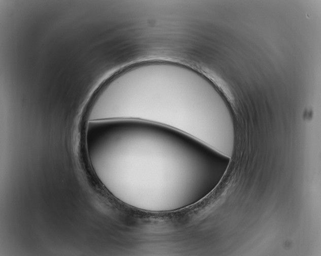 X0000103230580200808280952