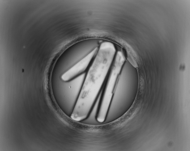 X0000103230581200808280952