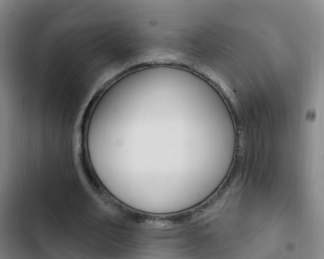 X0000103230582200808280952