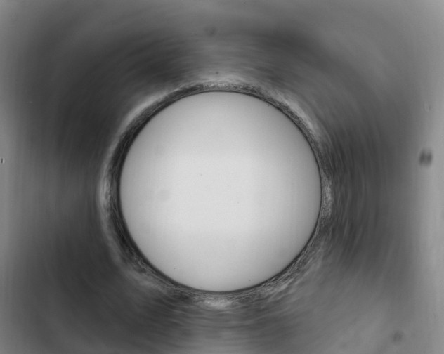X0000103230583200808280952