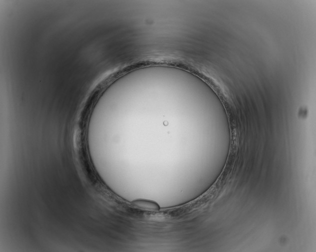 X0000103230587200808280952