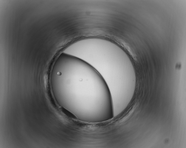 X0000103230589200808280952