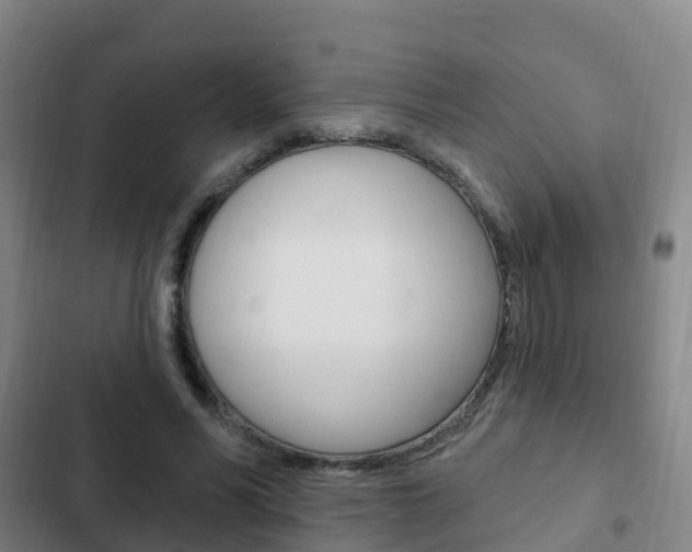 X0000103230590200808280952