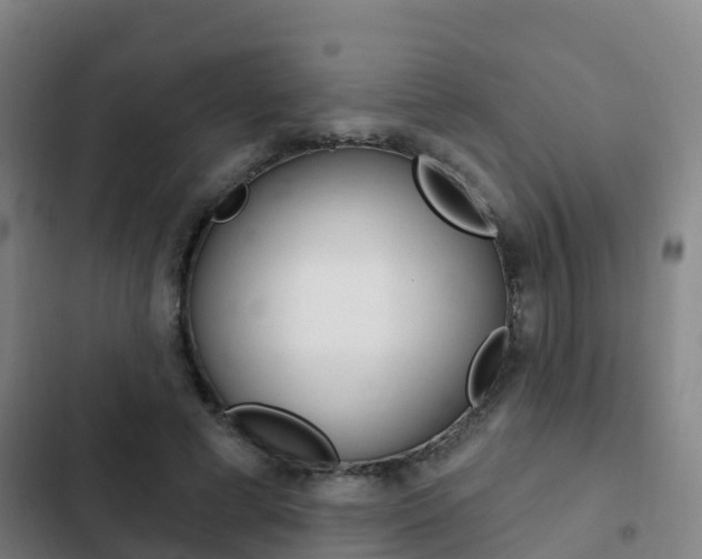 X0000103230593200808280952