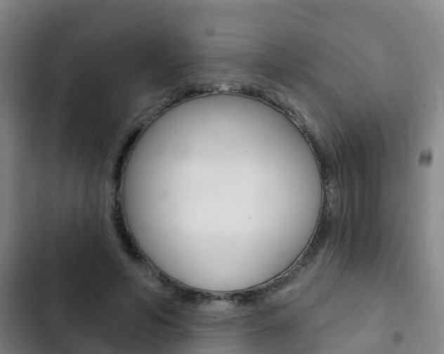 X0000103230594200808280952