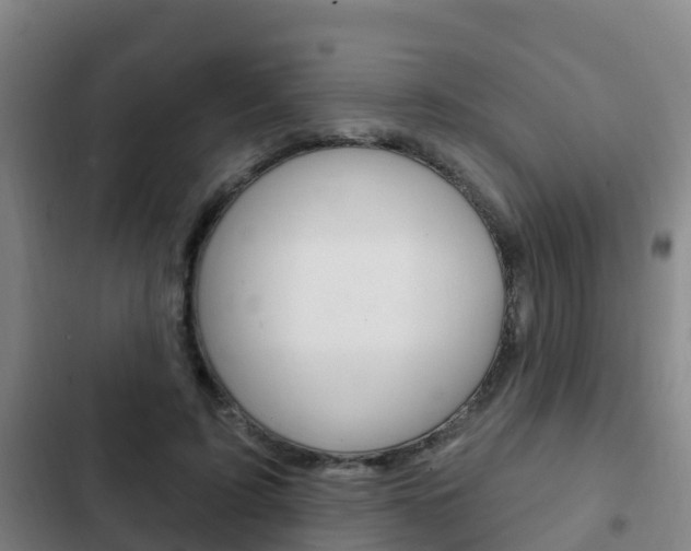 X0000103230595200808280952
