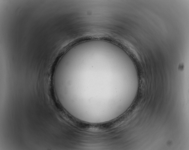 X0000103230596200808280952