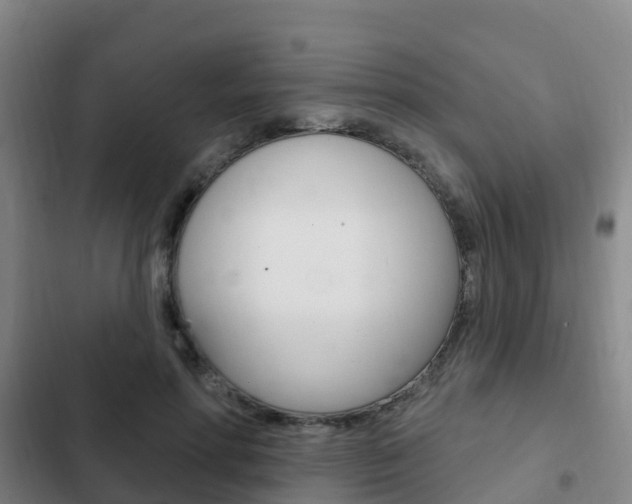 X0000103230598200808280952