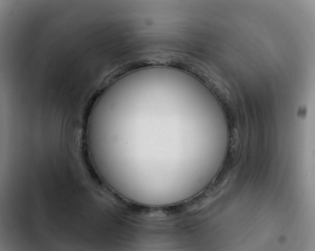 X0000103230600200808280952