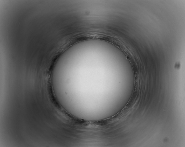 X0000103230601200808280952
