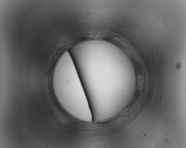 X0000103230602200808280952