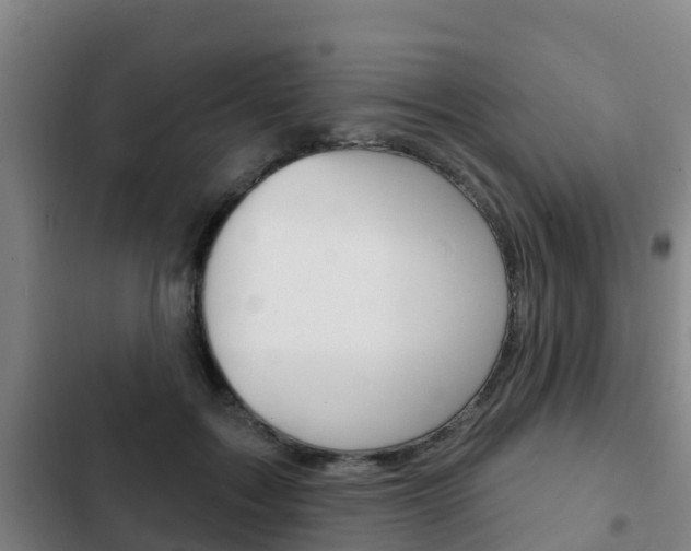 X0000103230603200808280952