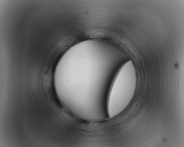 X0000103230604200808280952