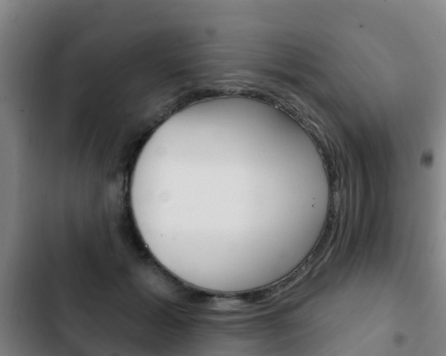 X0000103230605200808280952