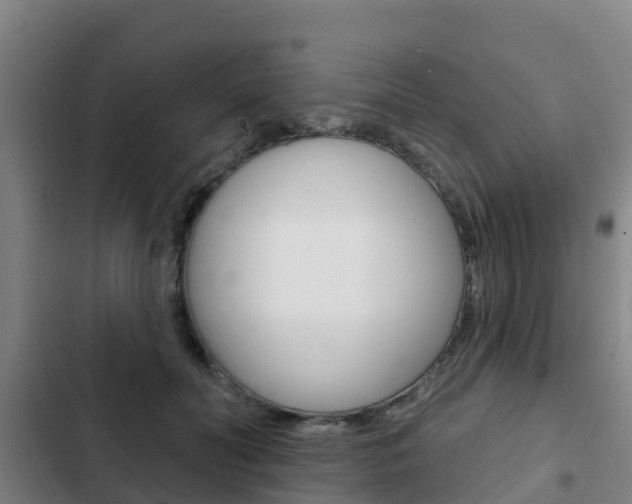 X0000103230606200808280952