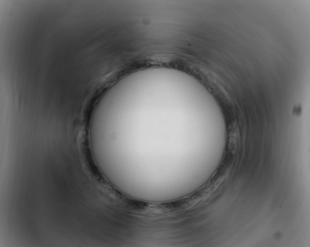 X0000103230608200808280952