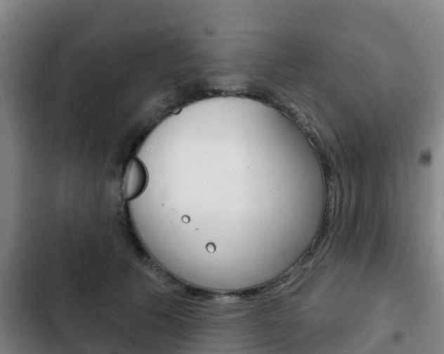X0000103230609200808280952