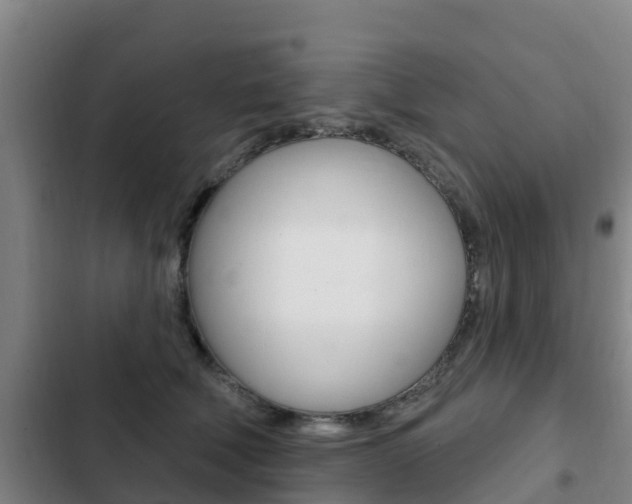 X0000103230610200808280952