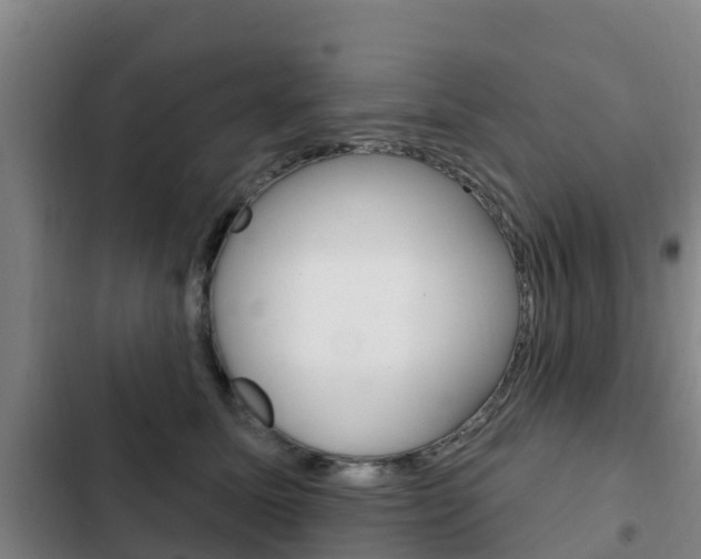 X0000103230611200808280952