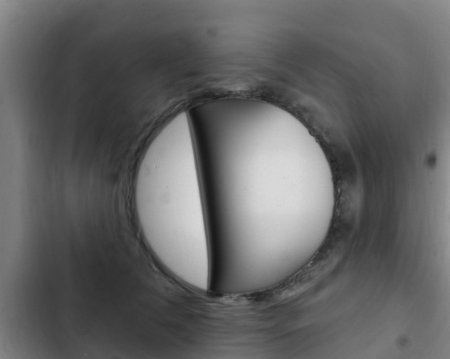 X0000103230612200808280952