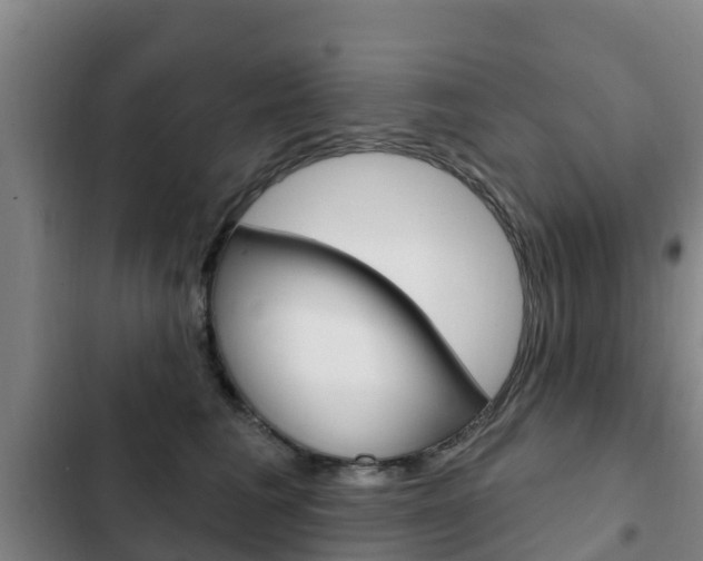 X0000103230613200808280952