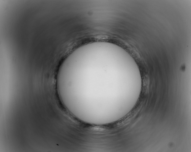 X0000103230614200808280952