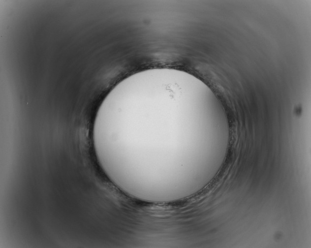 X0000103230615200808280952