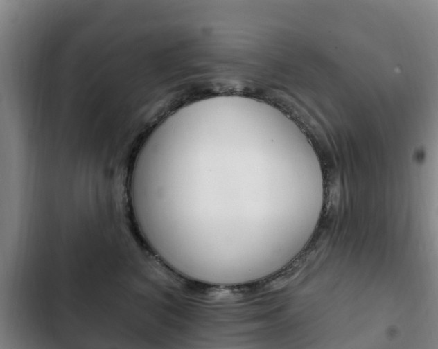 X0000103230616200808280952