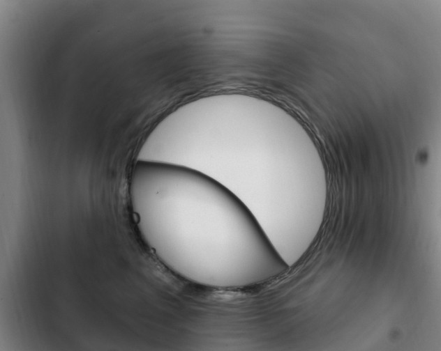 X0000103230617200808280952