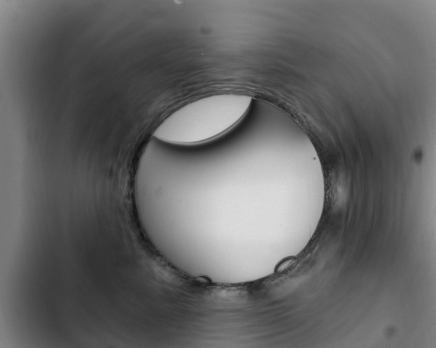 X0000103230619200808280952