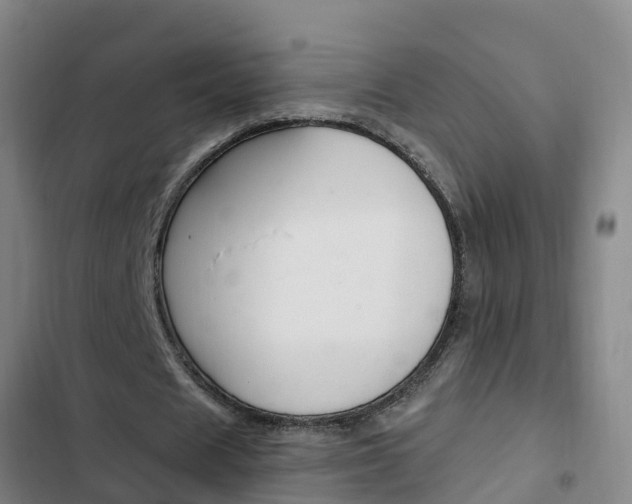 X0000103230625200808280951