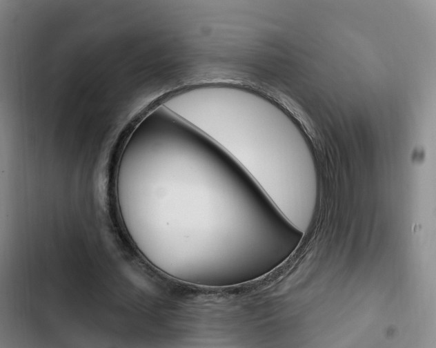 X0000103230627200808280951