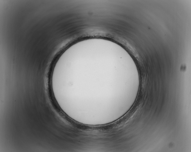 X0000103230629200808280951