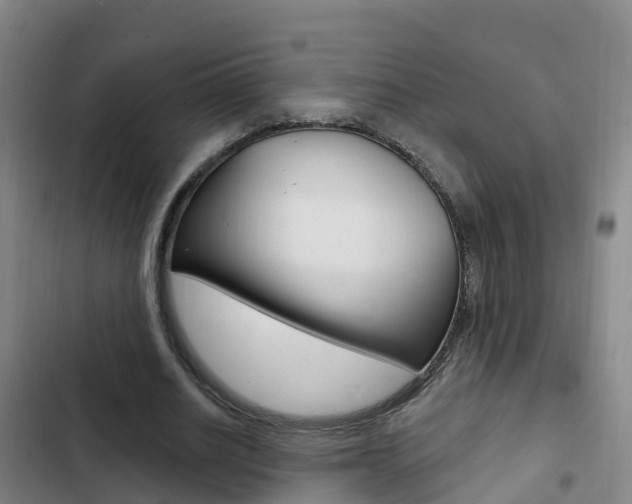 X0000103230630200808280951