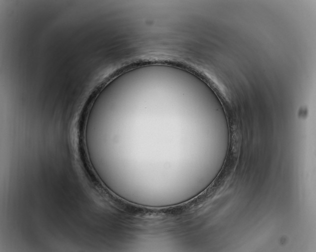 X0000103230631200808280951