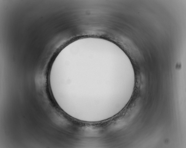 X0000103230632200808280951