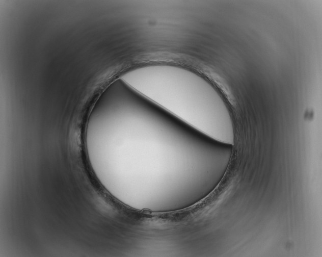 X0000103230633200808280951