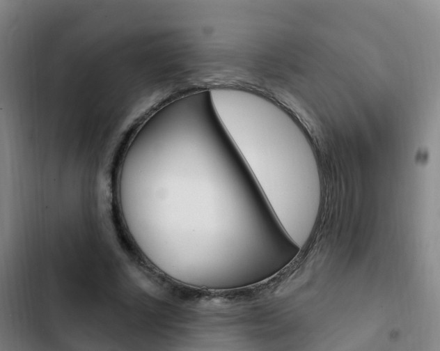 X0000103230634200808280951