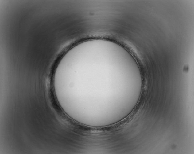 X0000103230636200808280951